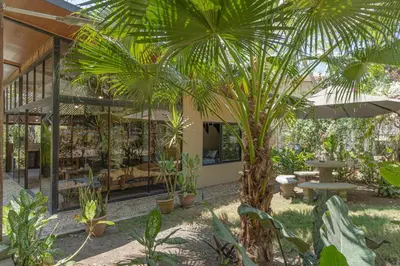 a garden with a palm tree in front of a building at Casa Cabo Blanco Mal Pais in Carmen