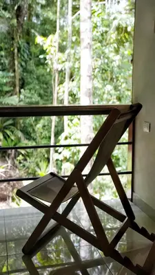 a wooden chair sitting in front of a window at Fauna Lodge in Drake