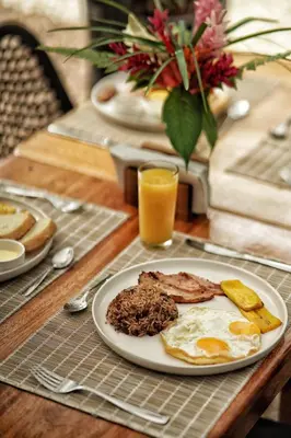 a plate of breakfast food and a glass of orange juice at Fauna Lodge in Drake