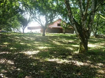 a house in the middle of a field with trees at Casa BAMBÚ, enjoy nature in San Juan de Mata