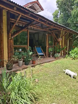 a cat laying in the grass in front of a house at Casa BAMBÚ, enjoy nature in San Juan de Mata