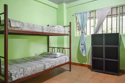 two bunk beds in a room with green walls at Manuel Antonio Hostel in Manuel Antonio