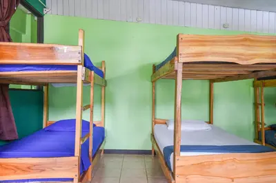 a bedroom with two bunk beds in a room at Manuel Antonio Hostel in Manuel Antonio