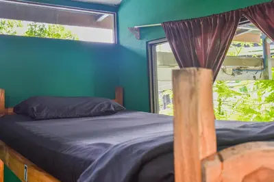 a bed in a green room with a window at Manuel Antonio Hostel in Manuel Antonio