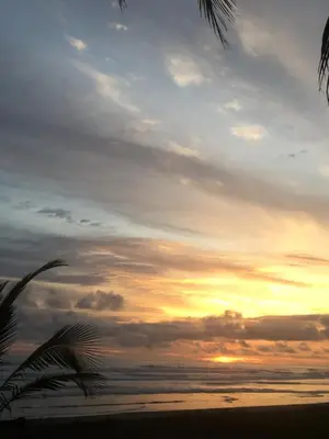 a sunset on the beach with a palm tree at Villa Zen by Vacation Pura Vida in Esterillos
