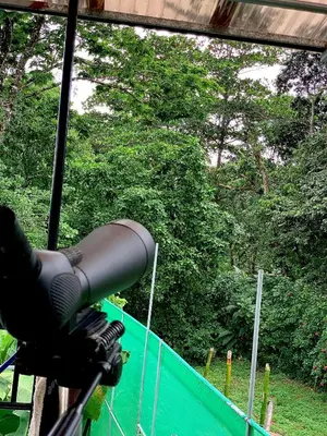 a telescope in front of a fence with trees at H et L in Tortuguero