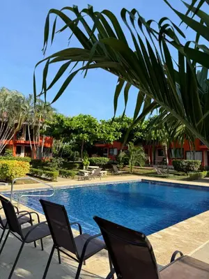 a swimming pool with chairs and a palm tree at Happy Oasis Second Floor Condo with Terrace in Coco
