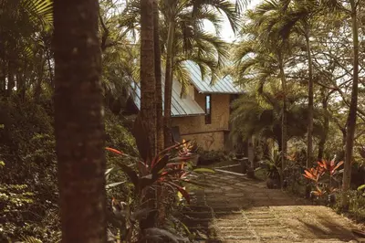 a house in the middle of a jungle with palm trees at Casa Azafan - Amazing Sunsets in Garza
