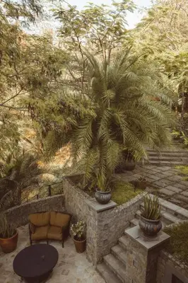 a patio with palm trees and a table and chair at Casa Azafan - Amazing Sunsets in Garza