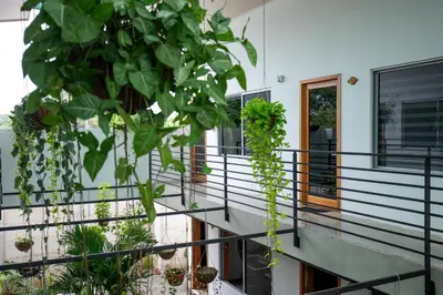 a balcony of a house with potted plants at Nomad Living CR Tárcoles in Tarcoles