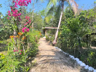 a path through a garden with flowers and a palm tree at Casa Paraíso in Manzanillo