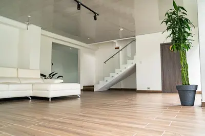 a living room with a white couch and a potted plant at home 333 habitacion 332 in Escazu