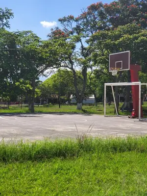 a basketball hoop in a park with grass and trees at BnB Ecostay in San José