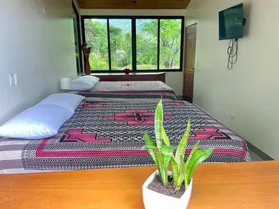 two beds in a room with a plant on a table at Villas Pura Vida in Ojochal