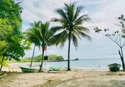 a beach with two palm trees and boats on it at Olas de Oro in Nicoya