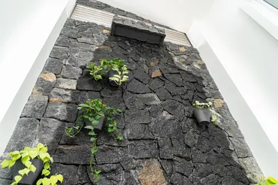 a building with plants on top of a roof at home 333 loft 334 in Escazu