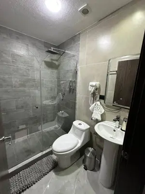 a bathroom with a shower and a toilet and a sink at home 333 habitacion 335 in Escazu