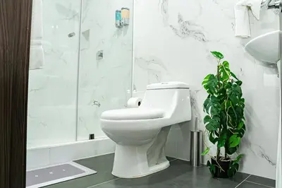 a bathroom with a white toilet and a plant at Home 333 habitacion 336 in Escazu