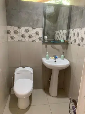 a bathroom with a toilet and a sink at Apartamento Paseo de Damitas in Paquita