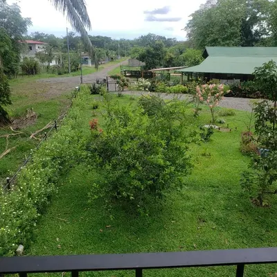 a view of a garden with bushes and a building at Apartamento Paseo de Damitas in Paquita