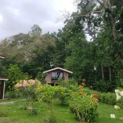 a small house in the middle of a garden at Apartamento Paseo de Damitas in Paquita