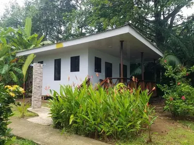 a small white house with black windows and plants at Susan Bungalow#1 Bahía Drake, Corcovado Familia Amaya in San Pedrillo