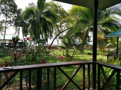 a view from the balcony of a resort with palm trees at Susan Bungalow#1 Bahía Drake, Corcovado Familia Amaya in San Pedrillo