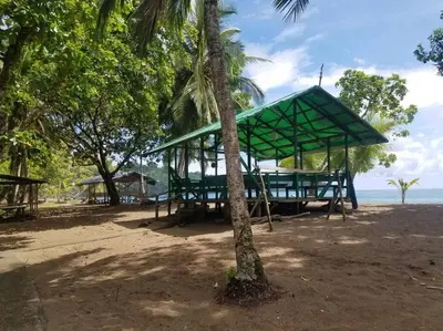 a pavilion on a beach with a palm tree at Susan Bungalow#1 Bahía Drake, Corcovado Familia Amaya in San Pedrillo