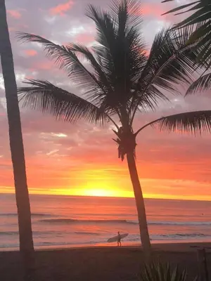 a man walking on the beach with a surfboard under a palm tree at The Backyard Beachfront Hotel in Jacó