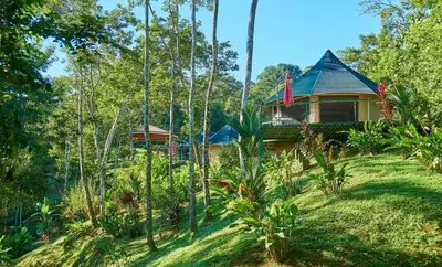 a house in the middle of a forest at Manoas in Uvita