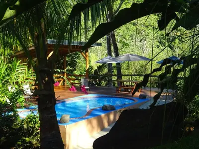 a swimming pool in the middle of a forest at Manoas in Uvita