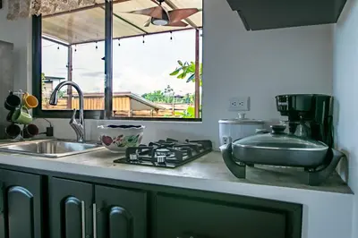 a kitchen counter top with a sink and a mixer at Villa Palmera-Fortuna in Fortuna