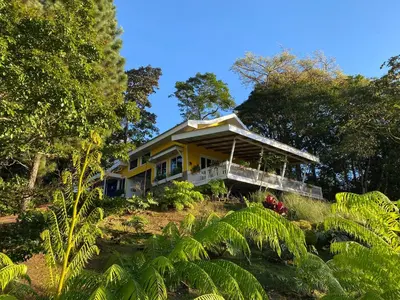 a house on top of a hill with trees at Cuki House in Quesada
