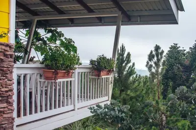 a porch with potted plants on a white fence at Cuki House in Quesada