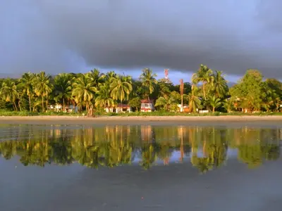 a group of palm trees on a beach with water at Cabinas del Mar in Sámara