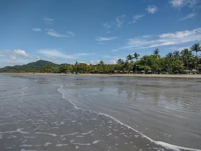 a view of a beach with palm trees and water at Cabinas del Mar in Sámara