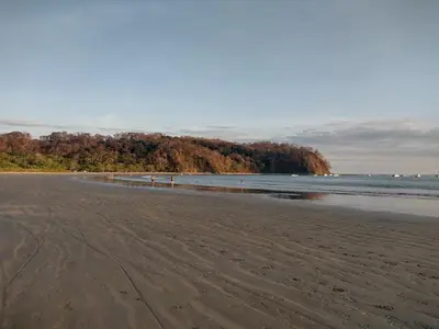 a sandy beach with trees in the background and the ocean at Cabinas del Mar in Sámara