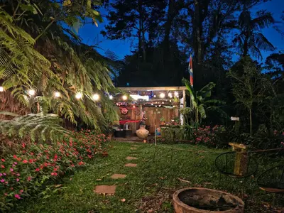 a garden lit up at night with lights at Tipi Cabécar in Heredia