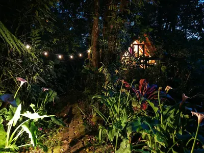 a garden at night with lights and flowers at Tipi Cabécar in Heredia