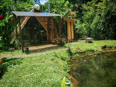 a small wooden cabin with a pond in the yard at Tipi Maleku in Heredia