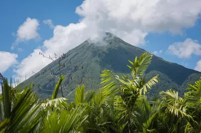 a mountain in the distance with trees in the foreground at Fortuna Retreat in Fortuna