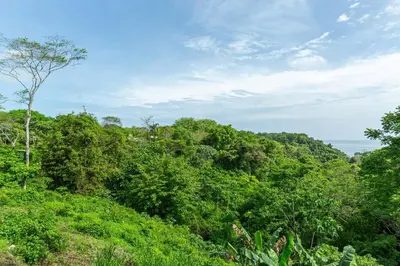 a lush green hillside with trees and a blue sky at Elegant Ocean View Villa Serena in Cóbano