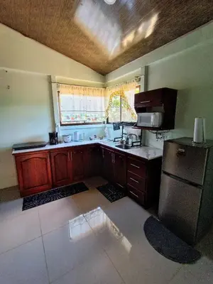 a kitchen with wooden cabinets and a stainless steel refrigerator at Casa Attila Sarapiquí in Sarapiquí