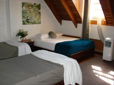 a bedroom with two beds with a cat laying on them at Private rooms, 10 min from SJO Airport in Ciudad Cariari
