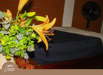 a vase with a yellow flower and some plants at Private rooms, 10 min from SJO Airport in Ciudad Cariari