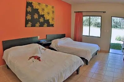 two beds in a room with orange walls at Pitaya Lodge in Potrero