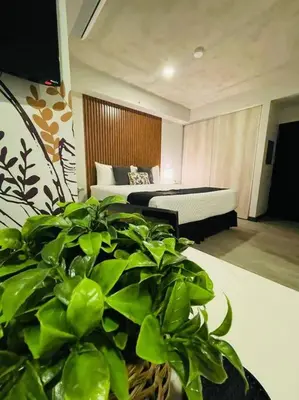 a living room with a bed and a potted plant at Studio Sabana Secrt 3011 in San José