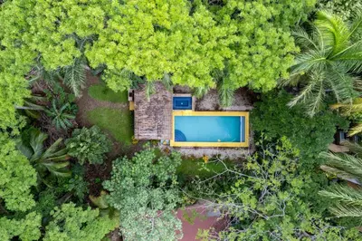 an overhead view of a swimming pool in a forest at Spacious 3-Bedroom Coastal Home with Shared Pool, Outdoor Living & Steps to Playa Potrero in Potrero