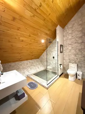 a bathroom with a glass shower and a toilet at Cabañas de Montaña Magia del Poás in Poás