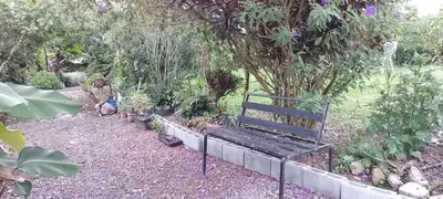 a wooden bench sitting in a garden with plants at Árbol de mayo in Guápiles